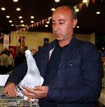 NURETTİN DEMİR - Araba Fiyatına Güvercin