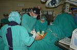 VARİS - Kayseri'de 3 Dakikada Varis Ameliyatı Yapıldı
