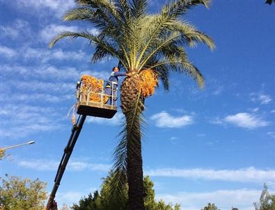 Kemer Cadde ve Sokaklarında Sonbahar Temizliği