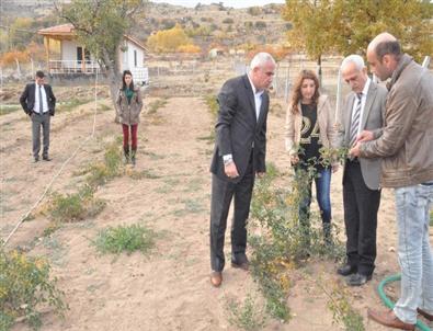 Yozgat’ta Çiftçiler Tarım Danışmanı Ziraat Mühendisleriyle Daha Kaliteli Ürün Yetiştirecek