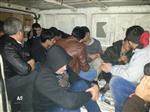 Edirne’de 16 Kaçak Göçmen Yakalandı