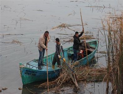 Beyşehir Gölü Kıyılarındaki Sazlıklar Temizleniyor
