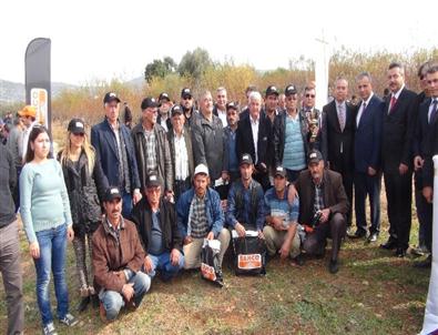 Silifke’de 'Ağaç Budama Yarışması Düzenlendi