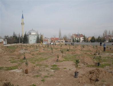 Bolvadin’de Ağaçlandırma Çalışmaları Devam Ediyor