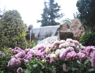 Bağcılar Kış Çiçekleriyle Donatıldı