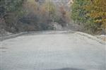 Koyulhisar’da Parke Taşı Döşeme Çalışmaları
