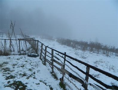 Posof’ta Kar Yağışı Etkili Oldu