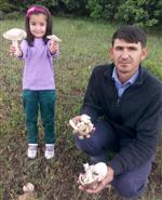 RUS RULETI - Yozgat’ta Mantar Zehirlenmeleri Geçen Yıla Göre Arttı