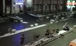 (özel Haber) Başıboş Köpekler Çarşı Merkezinde Cirit Atıyor