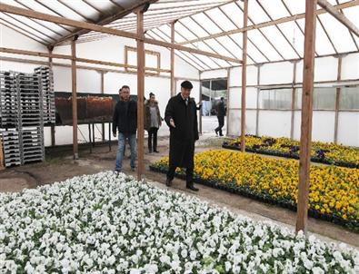 Yenimahalle Belediyesi’nden Parklara Kış Bakımı