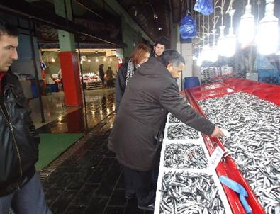 Balık Satışında Uyulması Gereken Kurallar