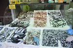BALIK FİYATLARI - Karadeniz'de Balık Fiyatları Düştü