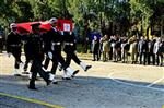 ASKERİ TÖREN - Şehit Jandarma Er Biçici'nin Cenazesi Memleketine Gönderildi