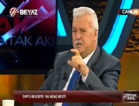 HÜSEYİN GÜLERCE - Hüseyin Gülerce ağaç katliamına tepki gösterdi