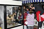 OYUNCAK MÜZESİ - İstanbul Oyuncak Müzesi Yalovalılarla Buluştu