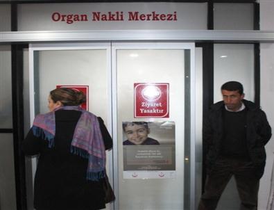 Van'da Yapılacak Organ Nakil Ameliyatlarına Prof. Dr. Gürkan Da Girecek