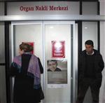 DİYALİZ HASTASI - Van'da Yapılacak Organ Nakil Ameliyatlarına Prof. Dr. Gürkan Da Girecek