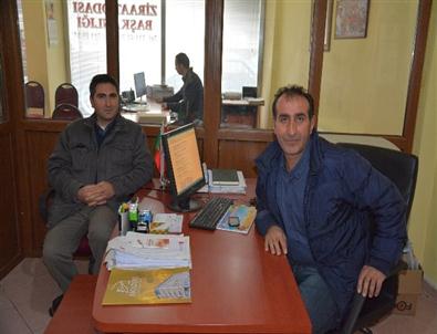 Şebinkarahisar’da Organik Tütün Üretimi Yapılacak