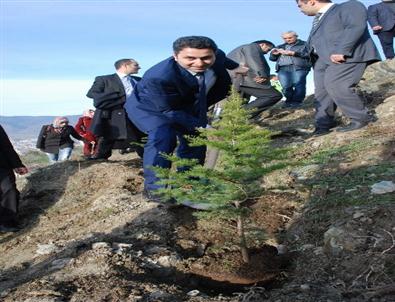 Başkan Eroğlu’dan Ağaç Kestiren Başkan Salman’a Tepki