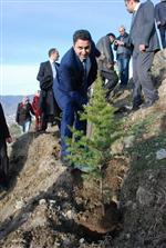 LEVENT YAZıCı - Başkan Eroğlu’dan Ağaç Kestiren Başkan Salman’a Tepki