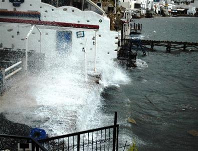 Bodrum’da Fırişka Rüzgarı