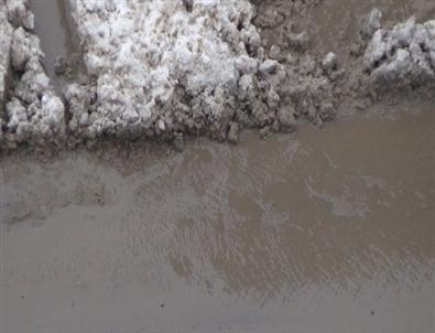 Kars’ta Bahar Havası