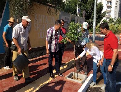 Muratpaşa Belediyesi'nden Kaldırım ve Yol Çalışması