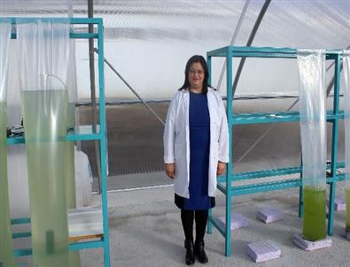 Atatürk Üniversitesi Su Ürünleri Fakültesi Biyodizel Üretecek