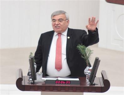 Chp’li Vekil, Bakan Eroğlu’na Çam Fidanı Hediye Etti