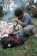 Kuyudaki Atı Kurtarmak İçin Seferber Oldular