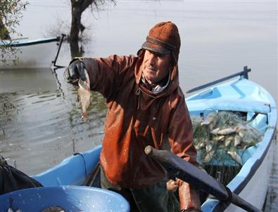 Uluabat Gölündeki Ölü Balıkları Balıkçılar Atmış