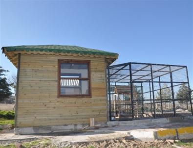 Uşak’ta Kedilere Ev Yapıldı