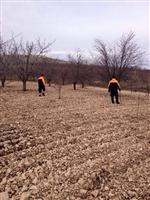 KARAADILLI - 75 Yaşındaki Çobandan İki Gündür Haber Alınamıyor