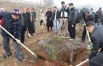KAŞGARLI MAHMUT - Fırat Üniversitesi Öğrencileri Ağaç Dikti