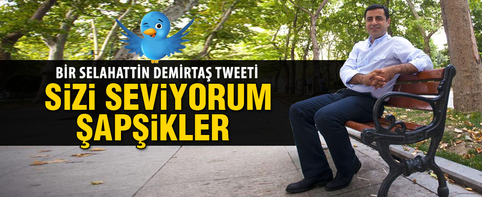 Selahattin Demirtaş'tan 17 Aralık tweetleri