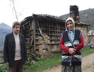 Derme Çatma Evde Hayat Mücadelesi