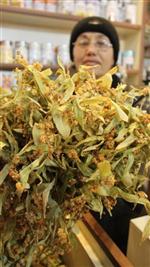 İhlamur Fiyatı Rekora Koşuyor