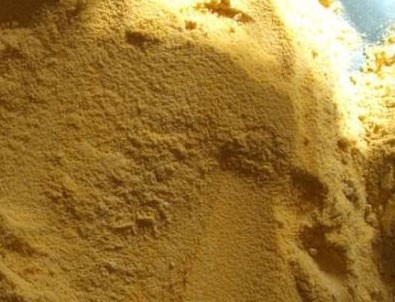 Mersin'de 400 ton GDO'lu mısır ele geçti