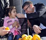 YÜRÜME ENGELLİ - Yeni'den Engelli Suna’ya Tekerlekli Sandalye