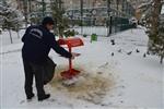 Sokak Hayvanlarına ve Kuşlara Belediyeden Gıda Desteği