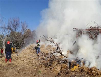 Ahır Yangınında 2 Buzağı Telef Oldu
