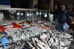 BALIK FİYATLARI - Balık Fiyatları El Yakıyor