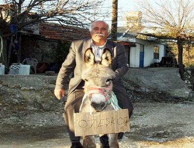 (özel Haber) Kayıp Hibe Kamyona Eşekli Takip