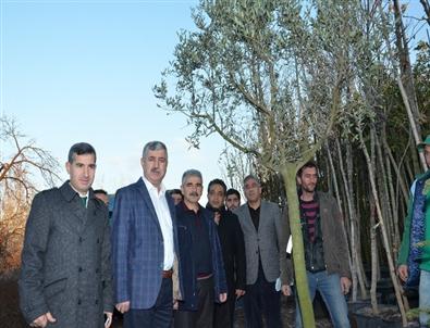 Yeşilyurt Belediyesi 15 Bin Fidan Dikiyor