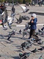 'çocukların Gözünden'Kemeraltı Büyüledi