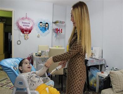 İki Kişilik Dev ‘çınar’