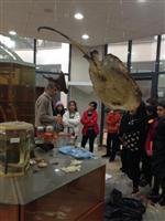 FEN BILGISI - Tema Kulübü Üyesi Öğrenciler Aü Bitki Müzesi'ni Gezdi