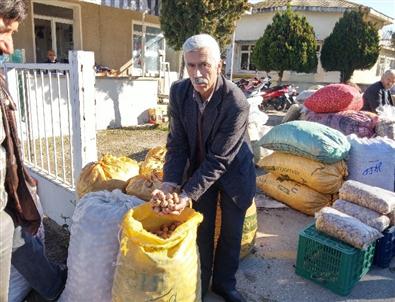 Ege'nin Kestane ve Ceviz Ambarı Tire