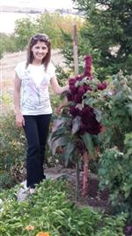 SAÇ BAKIMI - Meslek Eğitim Merkezi Ücretsiz Kurs Vermeye Devam Ediyor