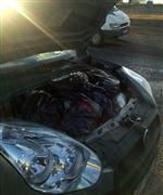 Siverek'te 11 Kilo Esrar Ele Geçirildi